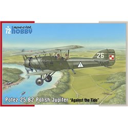 Potez 25 B2 Polish Jupiter Against the Tide