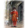 Yeoman Warder Beefeater