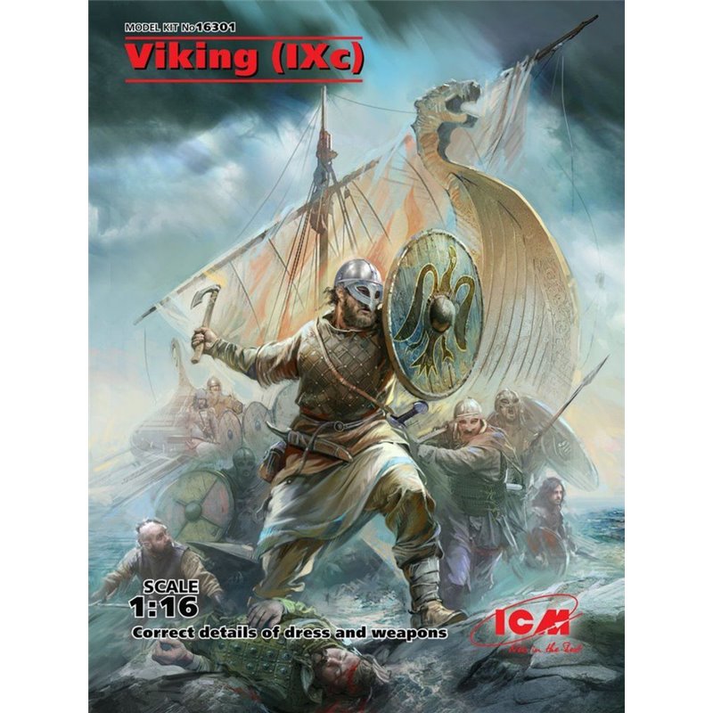 Viking (IX century)