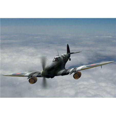 Spitfire Mk.IXC Beer Delivery WWII British Fighter