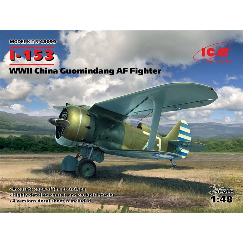 I-153,WWII China Guomindang AF Fighter