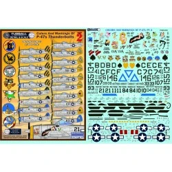 Furball  decals 1/48 Colors and Markings of Republic P-47N Thunderbolt