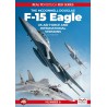 The McDonnell F-15 Eagle US Airforce and International versions