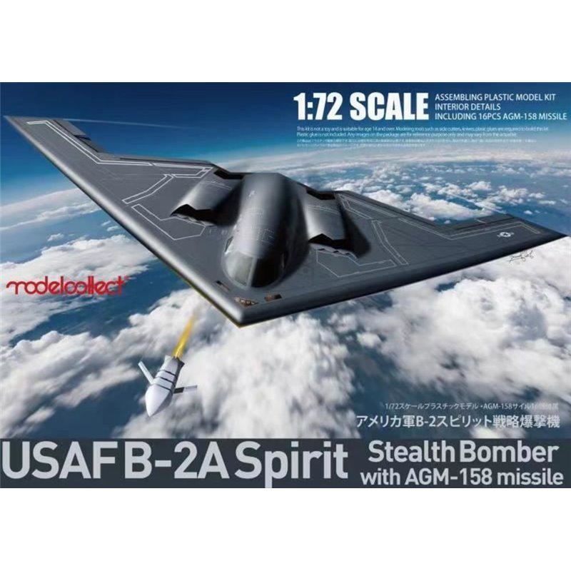 USAF B-2A Spirit Stealth Bomber with AGM-158 missile