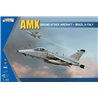 AMX Single Seat Fighter