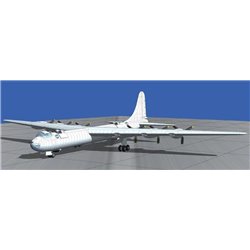 Convair B-36B Peacemaker (Early)