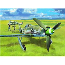 Focke-Wulf FW190D-13