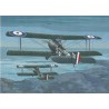 Sopwith 1 1/2 Strutter Comic Fighter