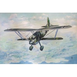 Roden Arado Ar 68F-1 - Model Guide