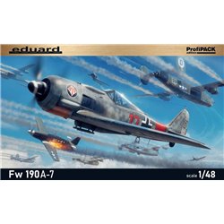 Fw 190A-7 1/48