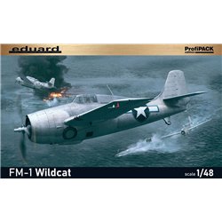 FM-1 Wildcat 1/48