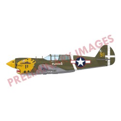 P-40E Warhawk  EDUARD-ROYAL CLASS