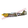 P-40E Warhawk  EDUARD-ROYAL CLASS