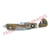 P-40E Warhawk  EDUARD-ROYAL CLASS