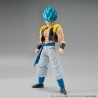 Bandai Figure-rise Standard Super Saiyan God Super Saiyan Gogeta