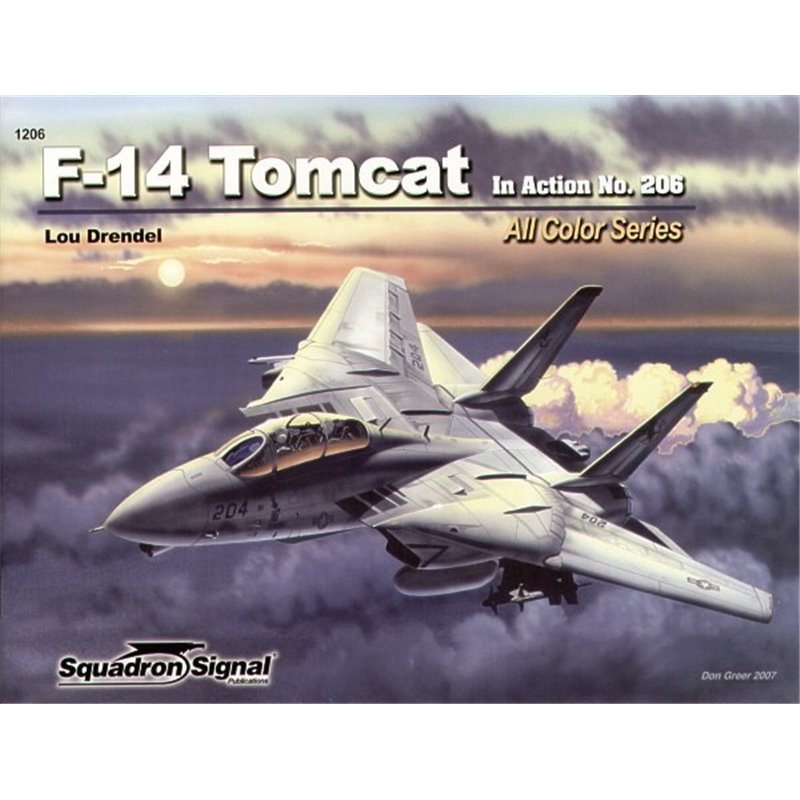 Grumman F-14A/F-14B Tomcat (In Action Series) 